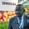 ZLECAF : Le COSEC au coeur de son application