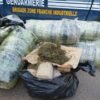 Keur Massar : Saisie de 667 kg de chanvre indien par la gendarmerie
